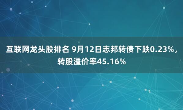 互联网龙头股排名 9月12日志邦转债下跌0.23%，转股溢价率45.16%