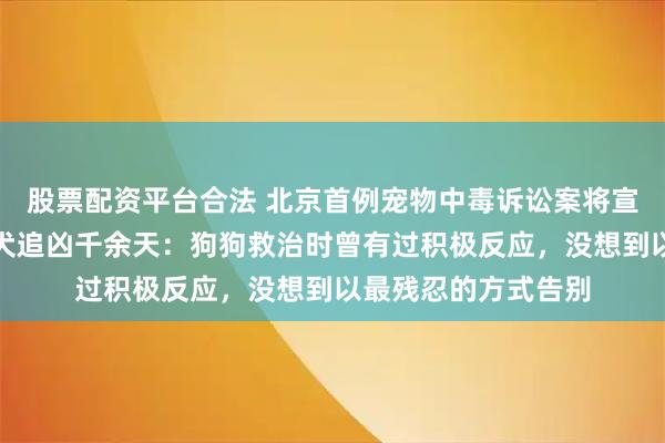 股票配资平台合法 北京首例宠物中毒诉讼案将宣判，主人辞职为爱犬追凶千余天：狗狗救治时曾有过积极反应，没想到以最残忍的方式告别