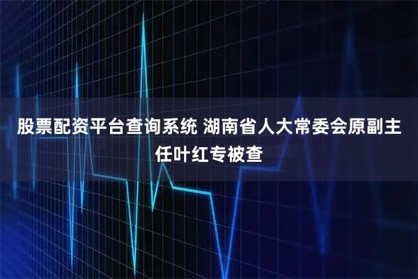 股票配资平台查询系统 湖南省人大常委会原副主任叶红专被查