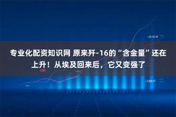 专业化配资知识网 原来歼-16的“含金量”还在上升！从埃及回来后，它又变强了